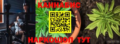 эйфоретик Аргун