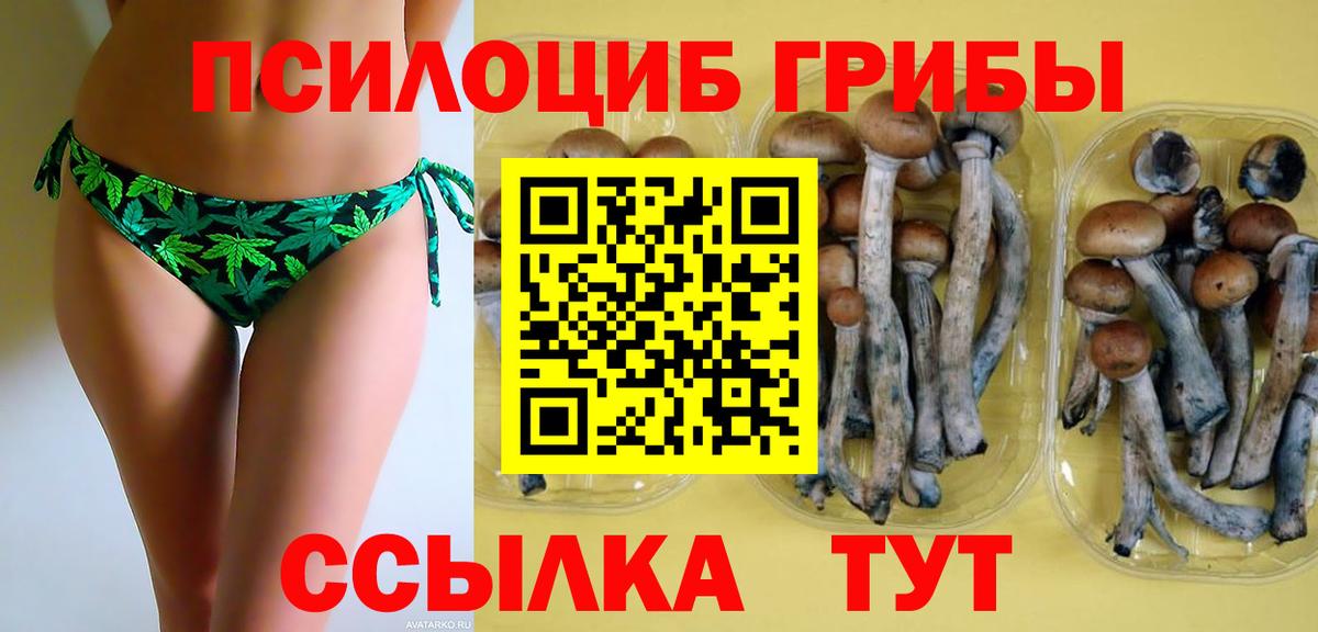 Галлюциногенные грибы MAGIC MUSHROOMS  Вход с VPN  Соликамск 